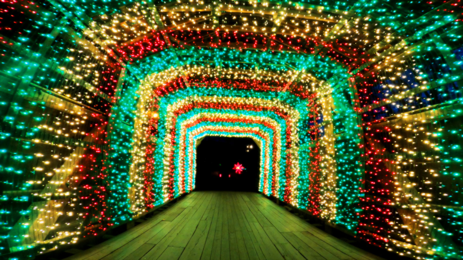 Joy Through the Grove at Knoebels Amusement Resort Image