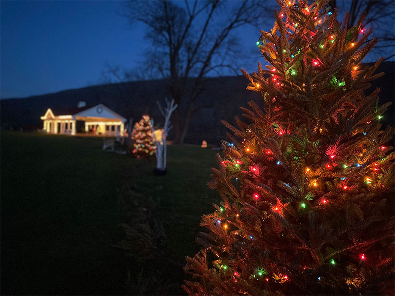 NEPA's Festive Holiday Lights Displays 2020 | DiscoverNEPA