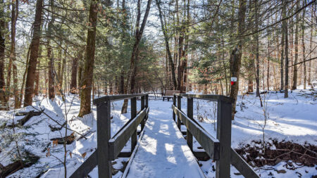 A snow-covered wooden bridge surrounded by a peaceful forest of tall trees within the Austin T. Blakeslee Natural Area.