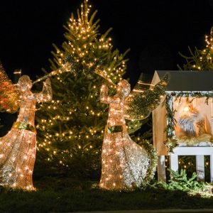 Berwick Christmas Lights 2021
