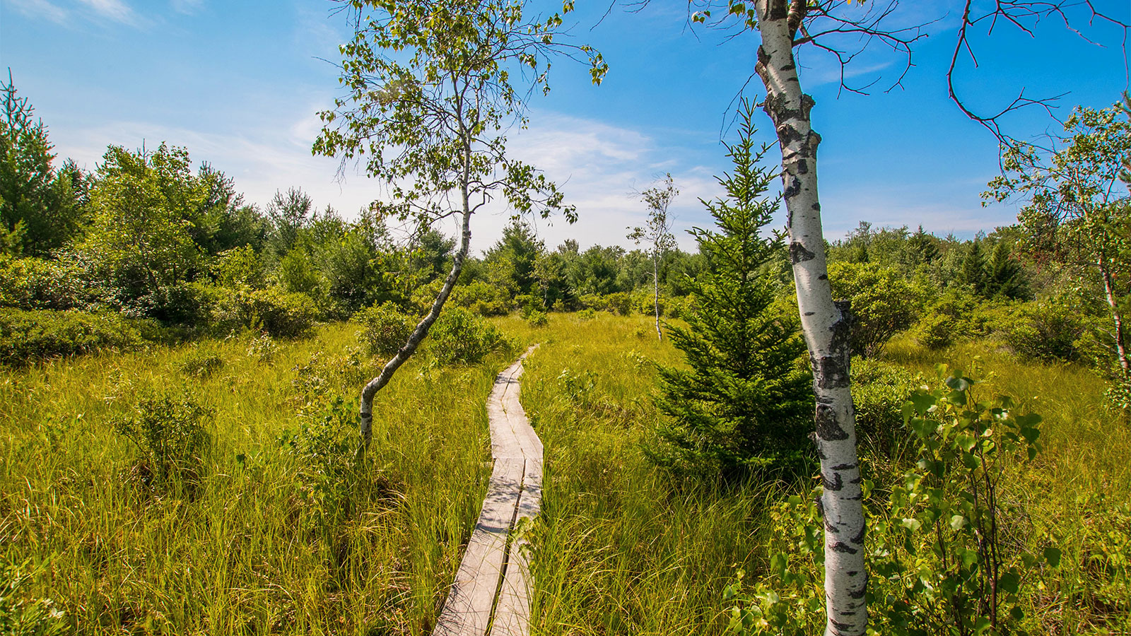 SPRING HIKE outlet