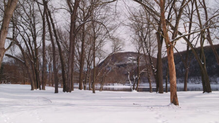 Winter at Susquehanna Warrior Trail image
