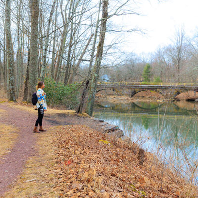 Landingville Marsh Trail image