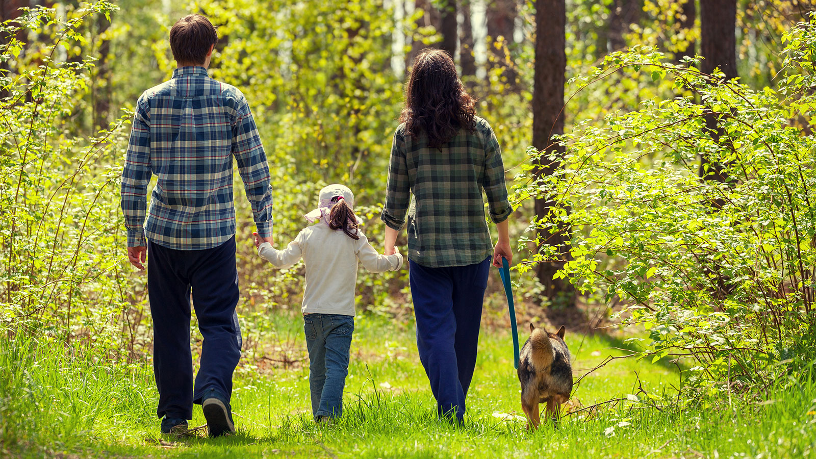 Be Safe Out There! – Keep Your Eyes on the Trail image