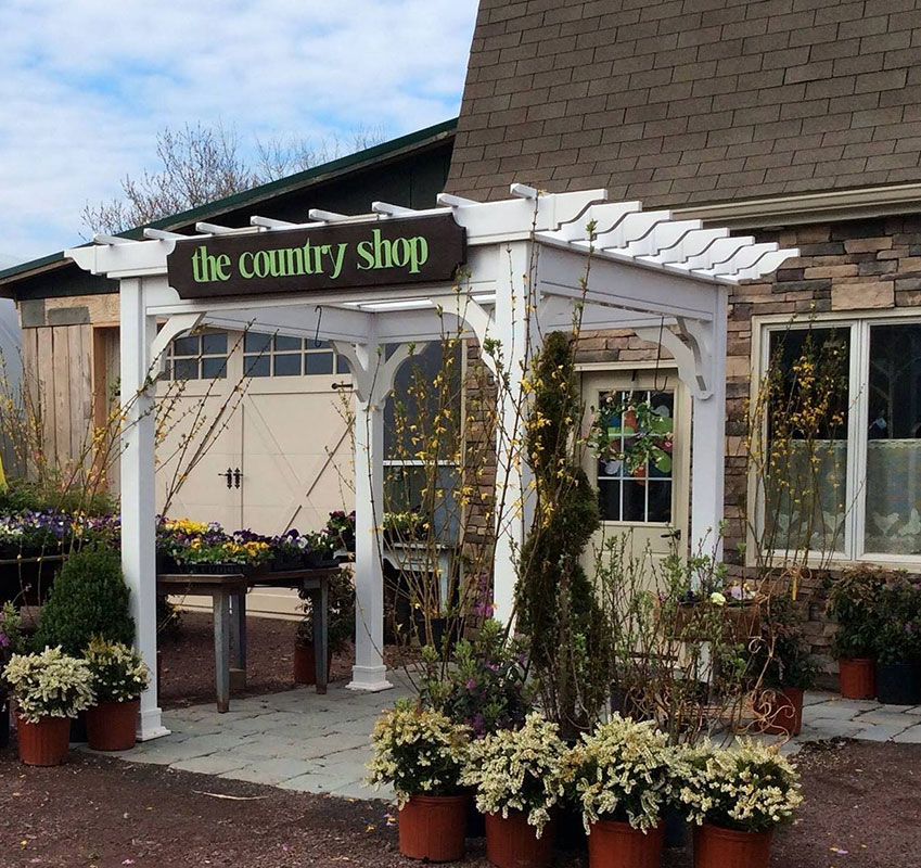 Zanolini Nursery & Country Shop image