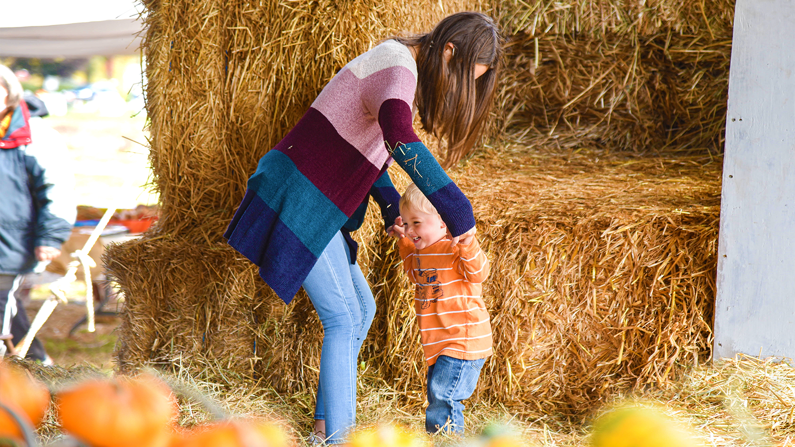 Plan Your Perfect Fall in NEPA image