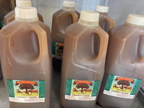 Fresh apple cider at Miller’s Orchard Farm Market in Scott Township, PA.