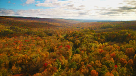 Fall at D&H Rail-Trail image