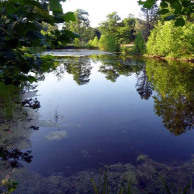 ForEvergreen Nature Preserve & Brodhead Creek Heritage Center image