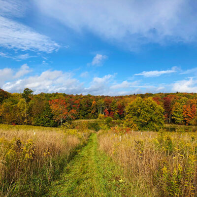 Van Scott Nature Reserve image
