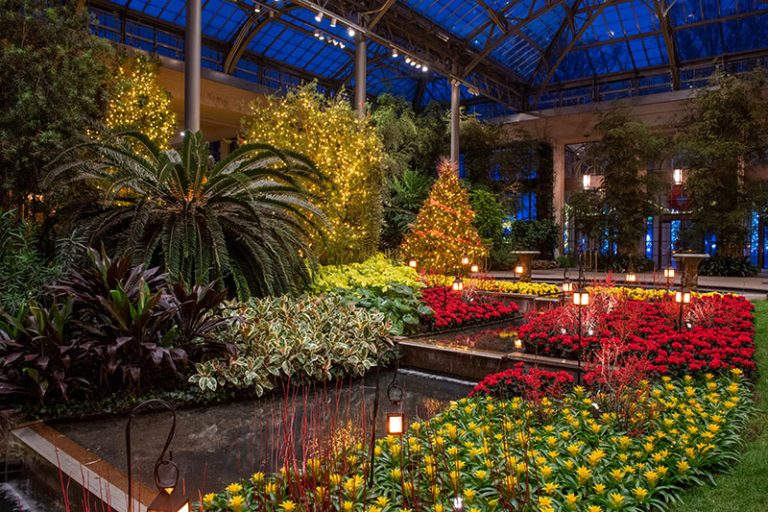 A Magical Holiday Experience Awaits on A Day Trip to Longwood Gardens ...