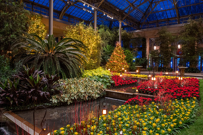 A Magical Holiday Experience Awaits on A Day Trip to Longwood Gardens