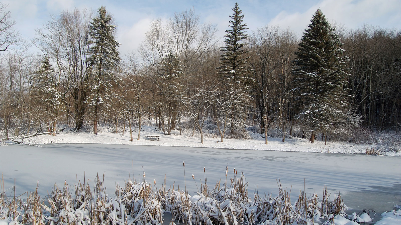 Keystone College Woodlands Campus - GYTOT Trail of the Month image