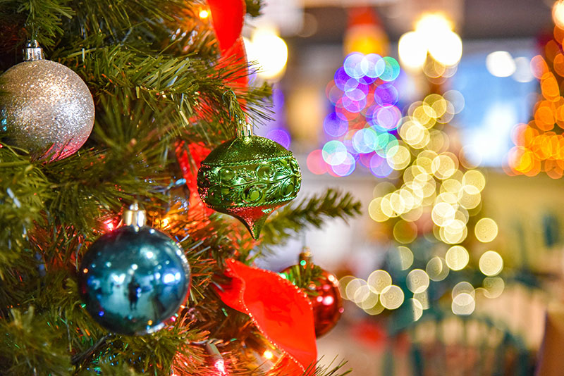 Picture This: Parade of Trees at Grotto Pizza | DiscoverNEPA