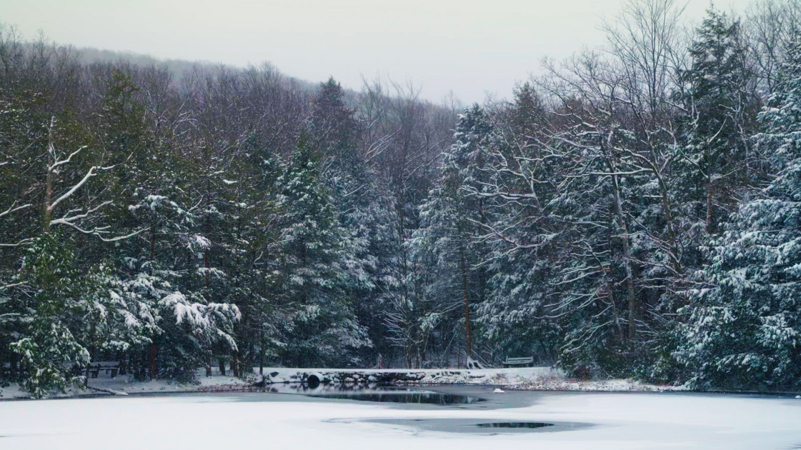 Winter at Locust Lake State Park Image