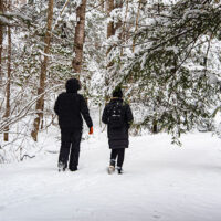 Locust Lake Loop Walk image