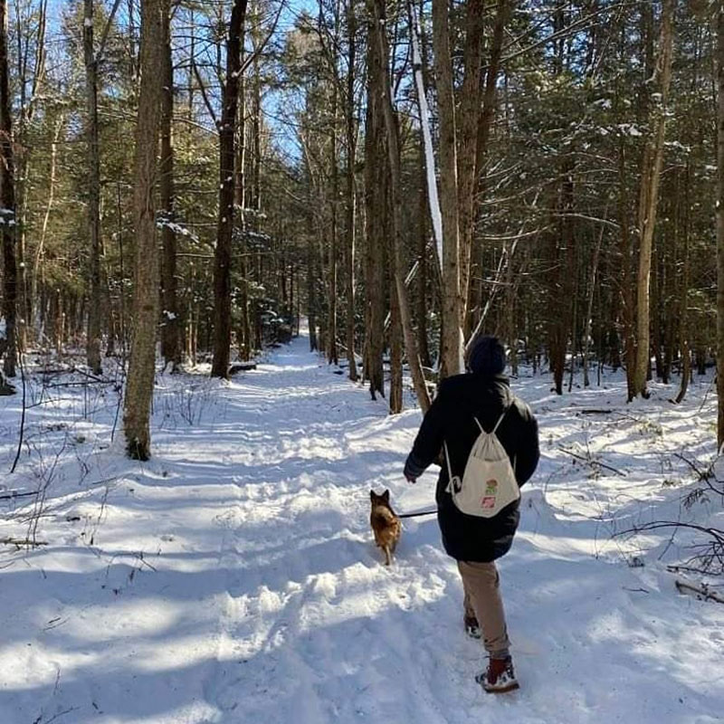 A hiker and her dog walk along the snow-covered North Pocono Trail System in Moscow, PA during the wintertime.