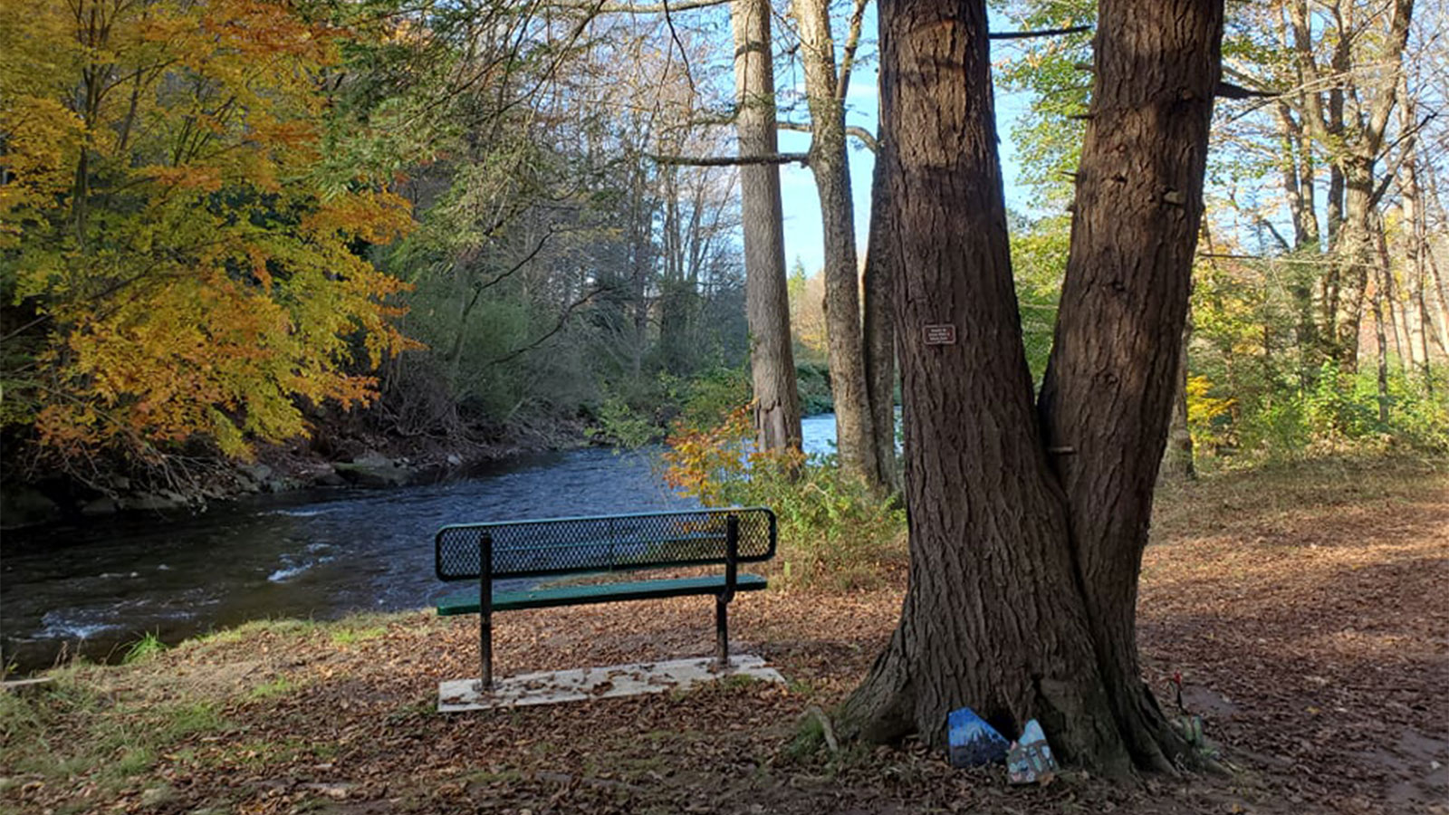 An empty green metal bench next to a tree overlooks a stream and the fall foliage on the opposite bank along the North Pocono Trail System in Moscow, PA.