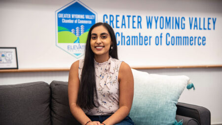 Shanie Mohamed of the GWV Chamber – Why NEPA? image