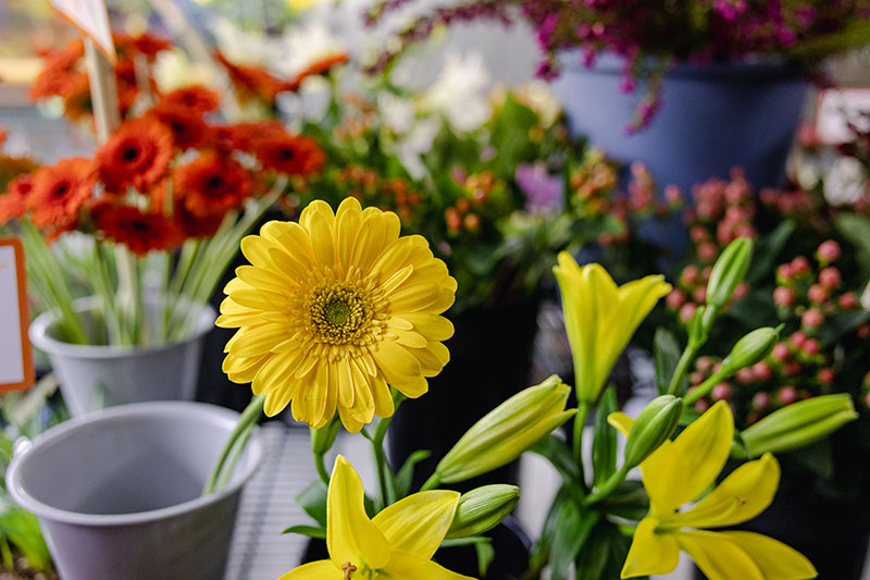 The Flower Warehouse image