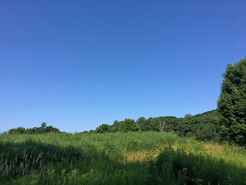 Cherry Valley National Wildlife Refuge image