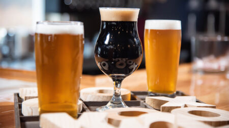 2 Dogz and a Guy Brewing image