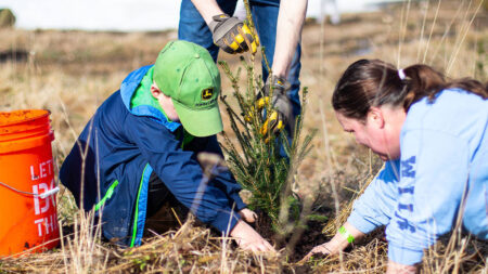 A little boy and a woman planting a small tree in the ground at Montage Mountain in Moosic, PA.
