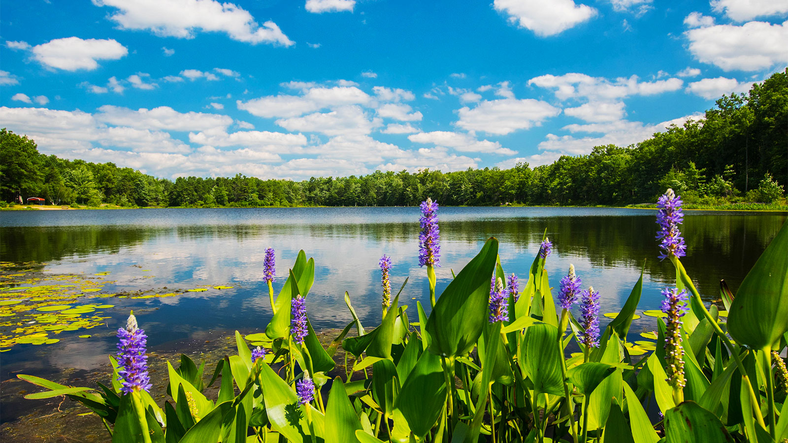 Welcome to Hazle Township, PA image