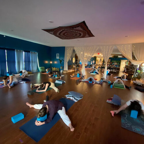 A group holds a yoga pose during a class at SoulWorks Yoga Studio in Hamlin, PA.
