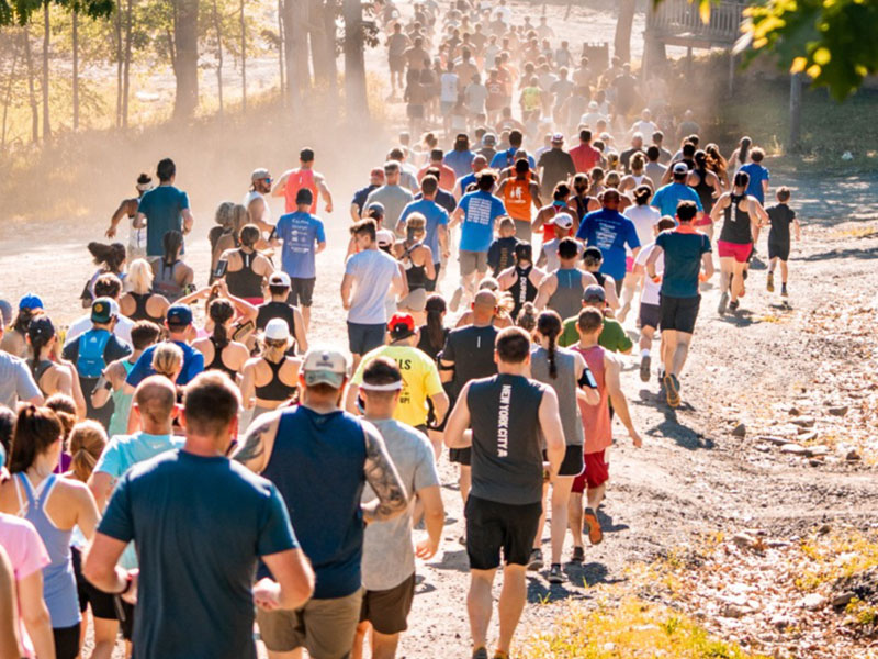 Summer Races & Walks image