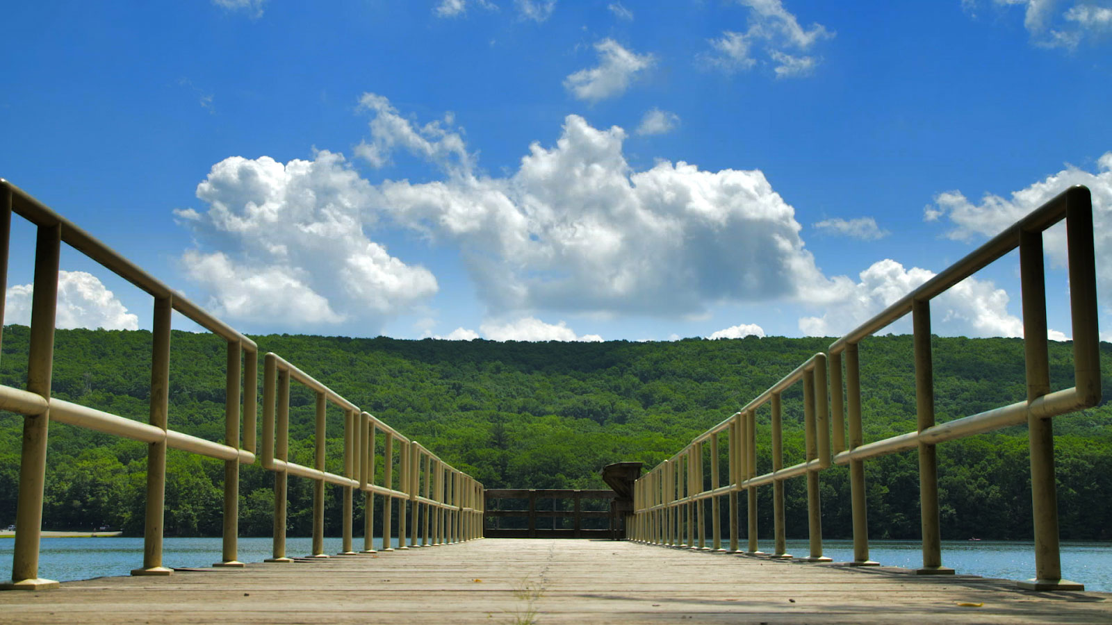 Summer at Locust Lake State Park Image