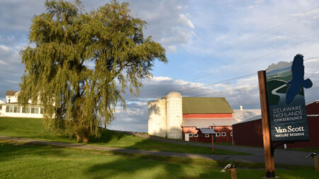 Interpretive Trail at the Van Scott Nature Reserve – GYTOT Trail of the Month image