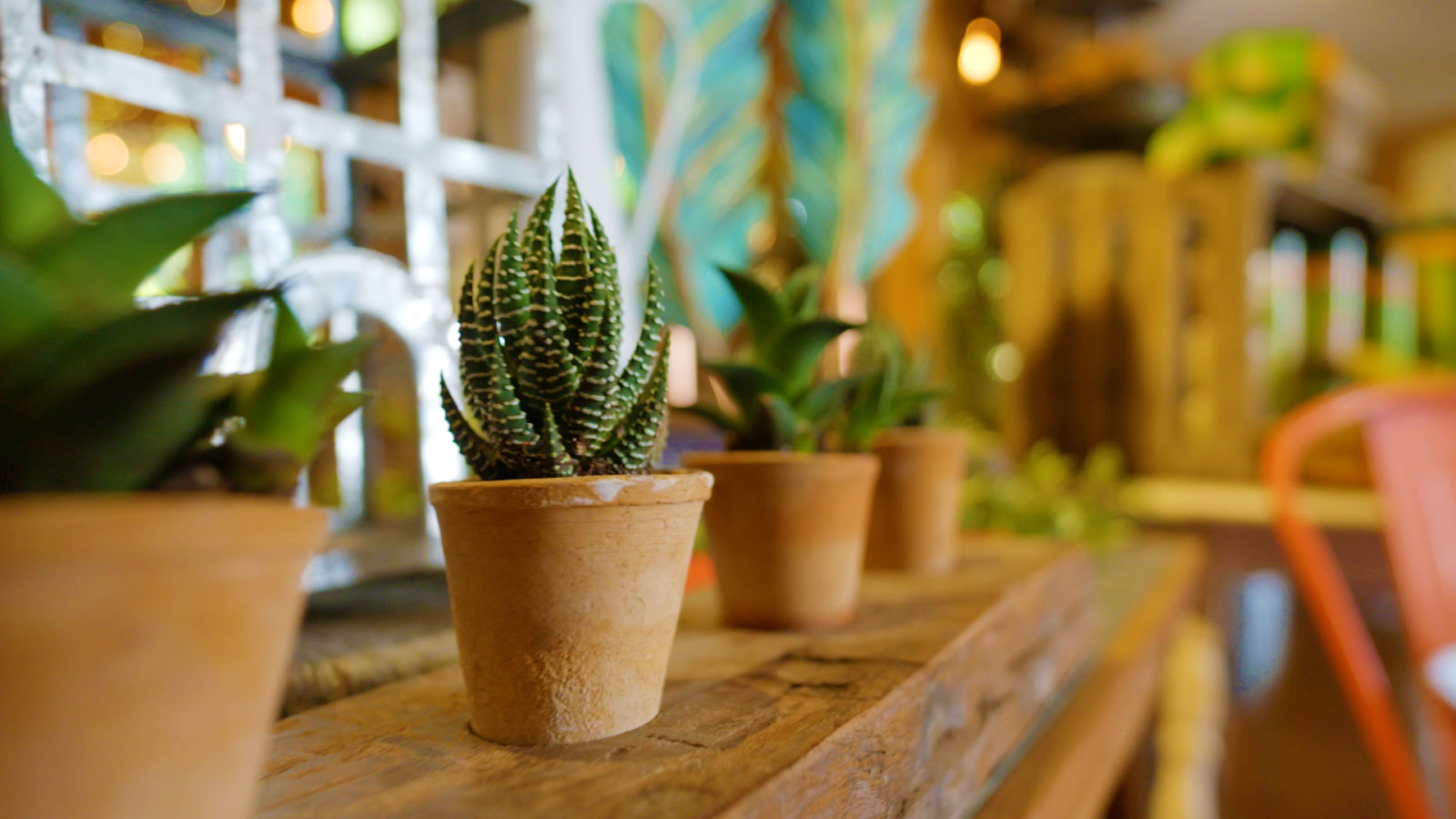 Creekside Gardens Image