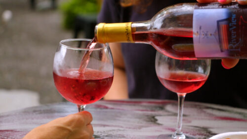 Wine Tastings & Winery Visits image