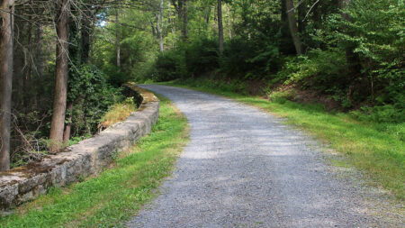 Things to See & Do in Weiser State Forest image