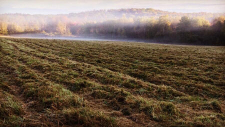 Countryside Conservancy Preserves – GYTOT Trail of the Month image