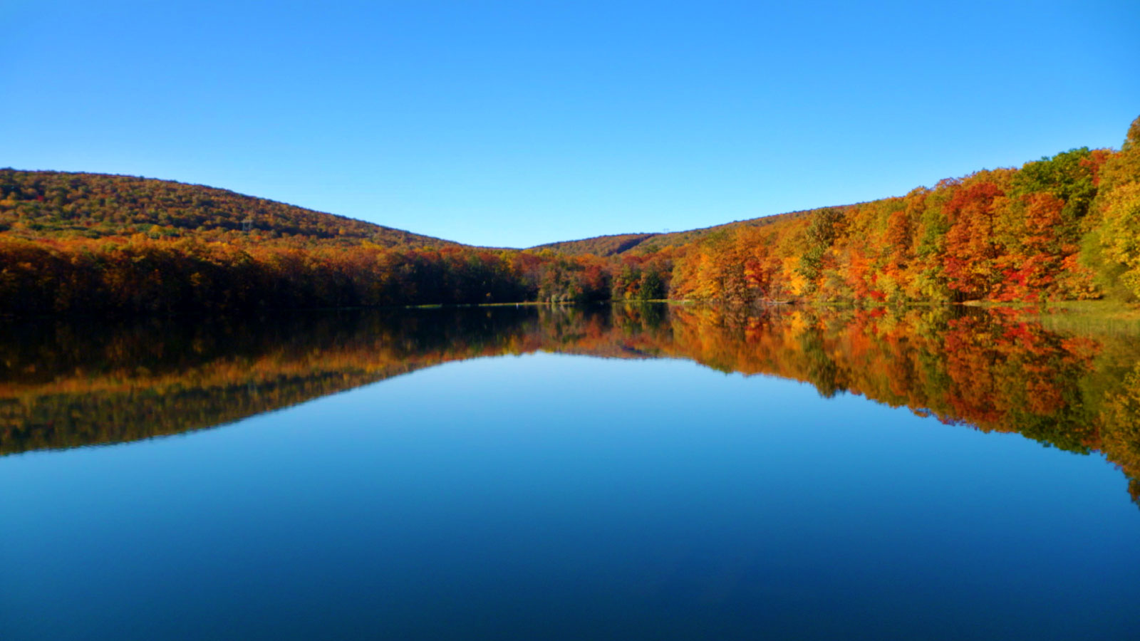 Fall at Locust Lake State Park Image