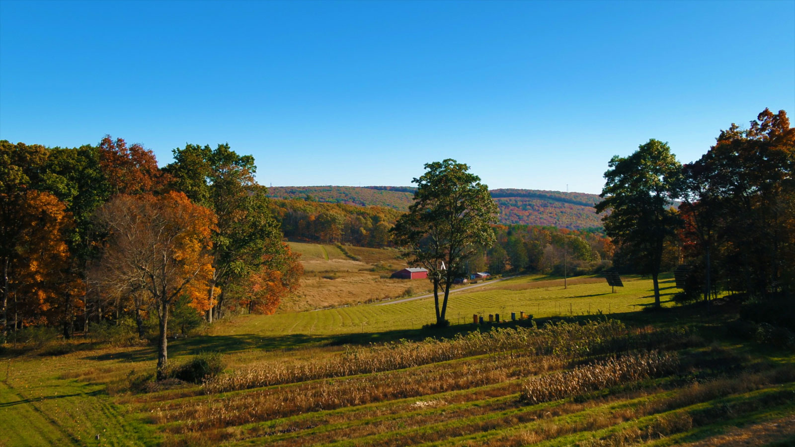 Fall at Twin Oaks Farm Image