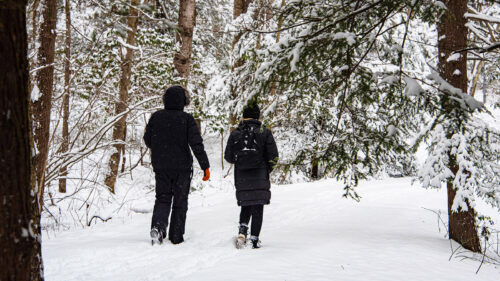 Two visitors enjoy a snowy hike on one of the trails at Locust Lake State Park in Barnesville, PA.