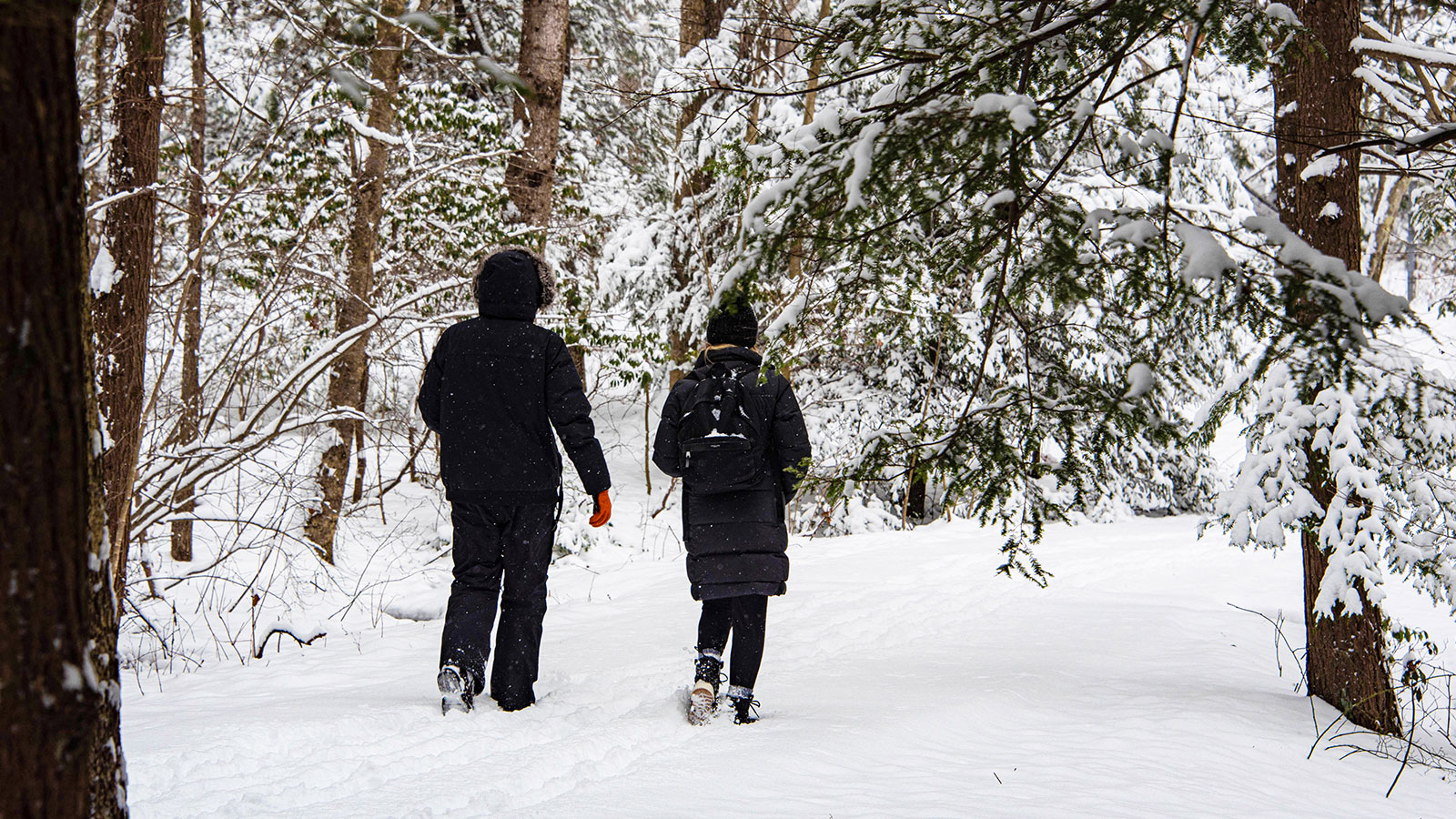Two visitors enjoy a snowy hike on one of the trails at Locust Lake State Park in Barnesville, PA.
