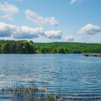 Fly Fishing Basics image