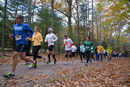 People running the trail during the Lake to Lake 8K Trail Run & Dog Woods Walk in Lake Ariel, PA.