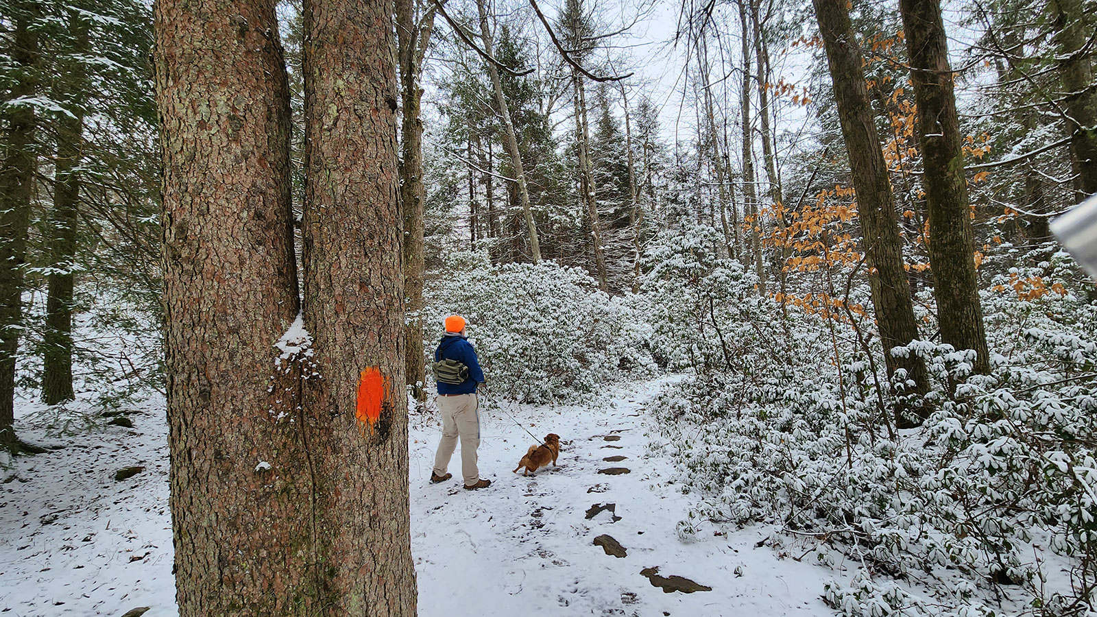 Pinchot Trail - GYTOT Trail of the Month image