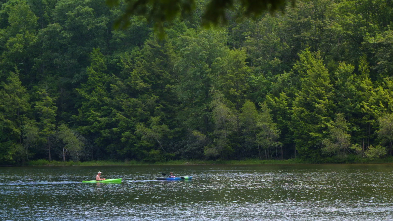 Locust Lake State Park in Barnesville | DiscoverNEPA