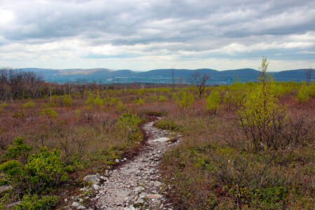 A rocky trail winds through the underbrush with a view towards the Pocono Mountains at the Dick and Nancy Eales Nature Preserve in Jessup, PA.
