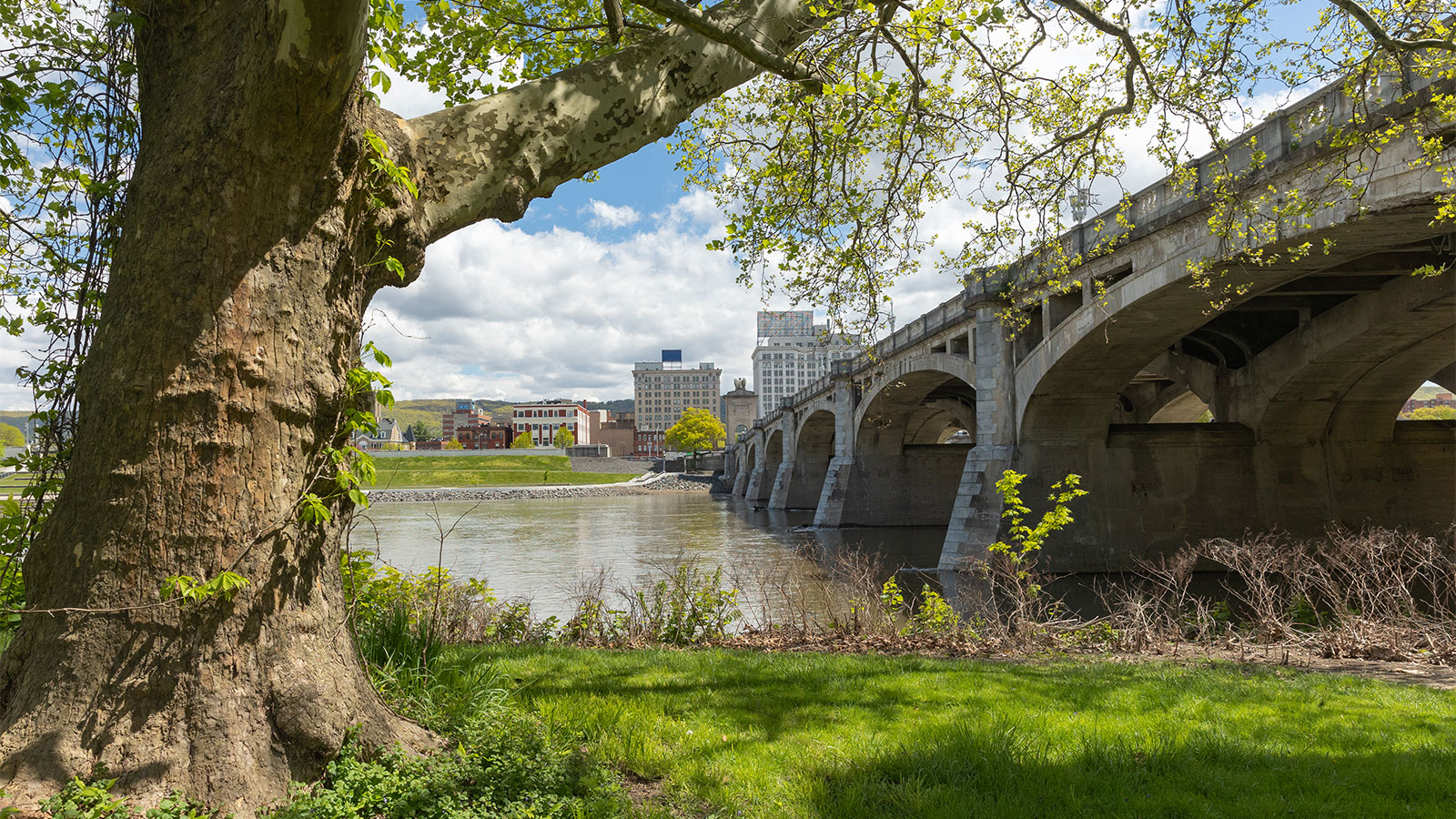 Beyond the Mission Statement: Riverfront Parks image