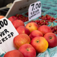 Wilkes-Barre Farmers Market image