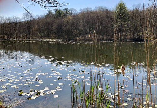 Swatara Creek at Swatara State Park in Pine Grove, PA.