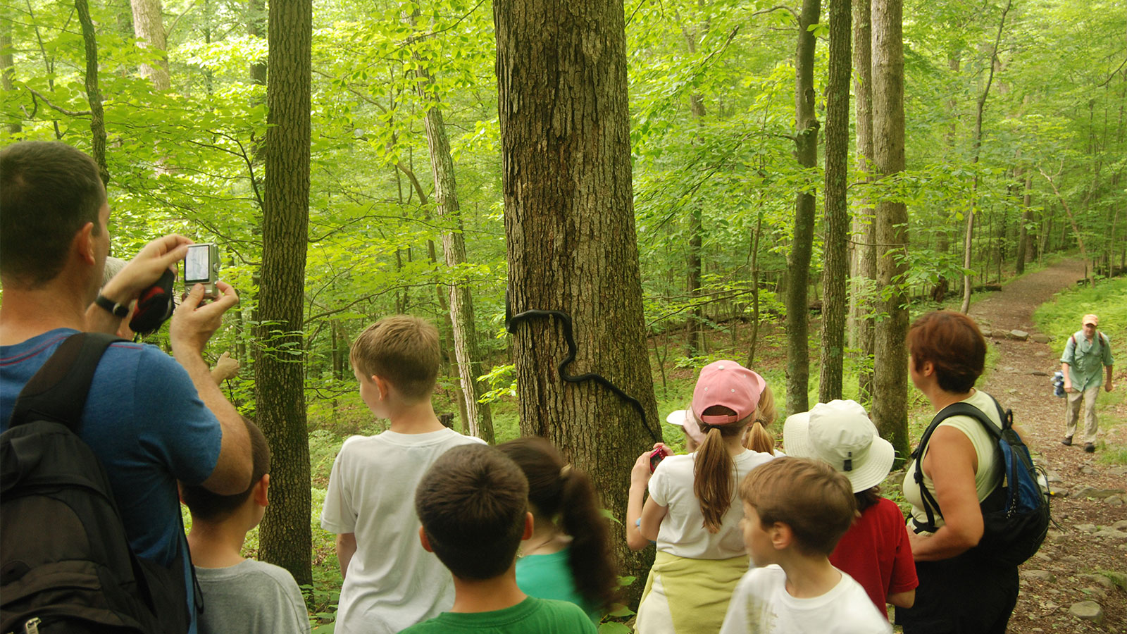 Get Your Tail on the Trail of the Month – The Tumbling Waters Trail image