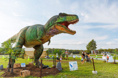 A large, life-sized dinosaur T-Rex stands in a grassy meadow at Roba Family Farms in North Abington Township, PA, during the annual Jurassic Dino Festival held each September.